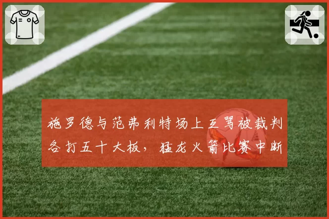 施罗德与范弗利特场上互骂被裁判各打五十大板,猛龙火箭比赛中断两分钟