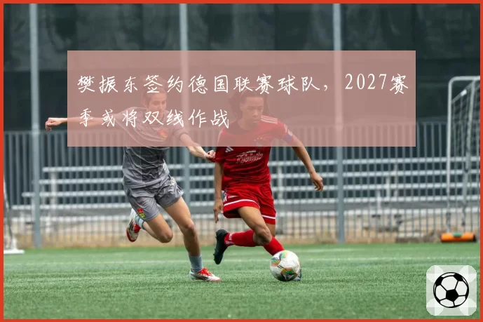 樊振东签约德国联赛球队，2027赛季或将双线作战